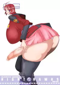 (Puniket 11) [HGH (HG Chagawa)] PLEATED GUNNER #12 (Gundam SEED DESTINY)