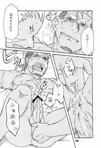 (C80) [Huujin (Shoshinsha Man)] Scar o Hazukashime Naosu Hon (Fullmetal Alchemist)