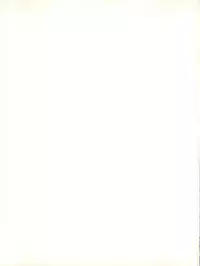 (C56) [Juushoku To Sono Ichimi (Various)] Sakura dake janai mon!! (Various)