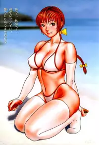 (C63) [RST Live (Various)] A Paradisiac Island (Dead or Alive)