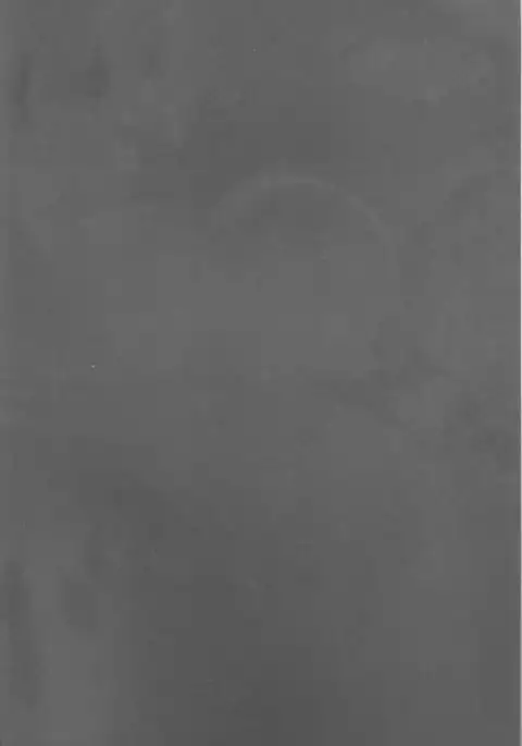 Kin Neko Patience [constantly