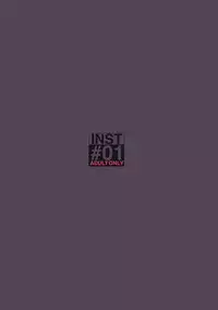 (SC50) [Inst] #01 (Touhou Project)