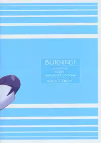 (C67) [GUST (Harukaze Soyogu)] Burning!! (Mobile Suit Gundam SEED DESTINY)