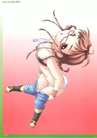 (C75) [Hikaru no Kobeya] DOKIDOKI Aimasu Dai Kanshsai (THE IDOLM@STER)