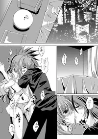 [The Seventh Sign] THE BEAUTIFUL WORLD (Mahou shoujo lyrical Nanoha)