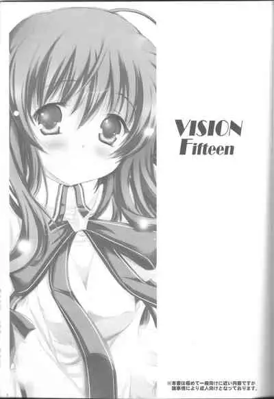 (C80) [SONIC WINTER (Tsukishima Kai)] VISION Fifteen (Rewrite)