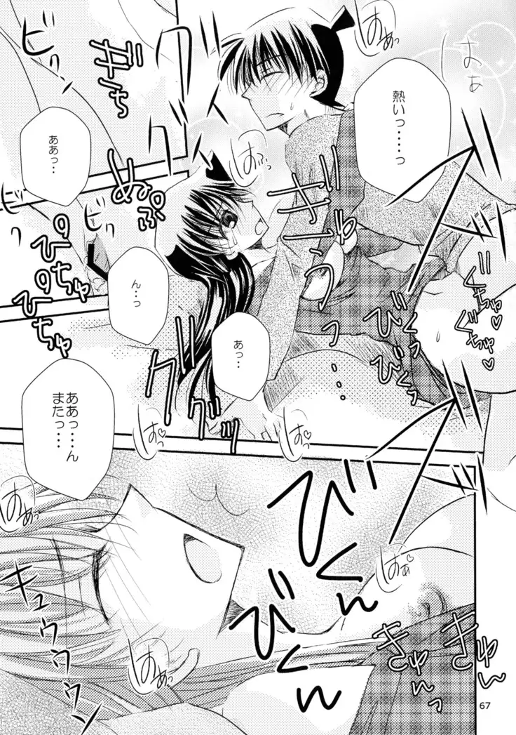 MACARON-CHOCOLAT-DOLCE