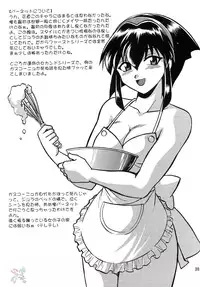 (C63) [Studio Katsudon (Manabe Jouji)] Barnette Book (Vandread) [English] [SaHa]