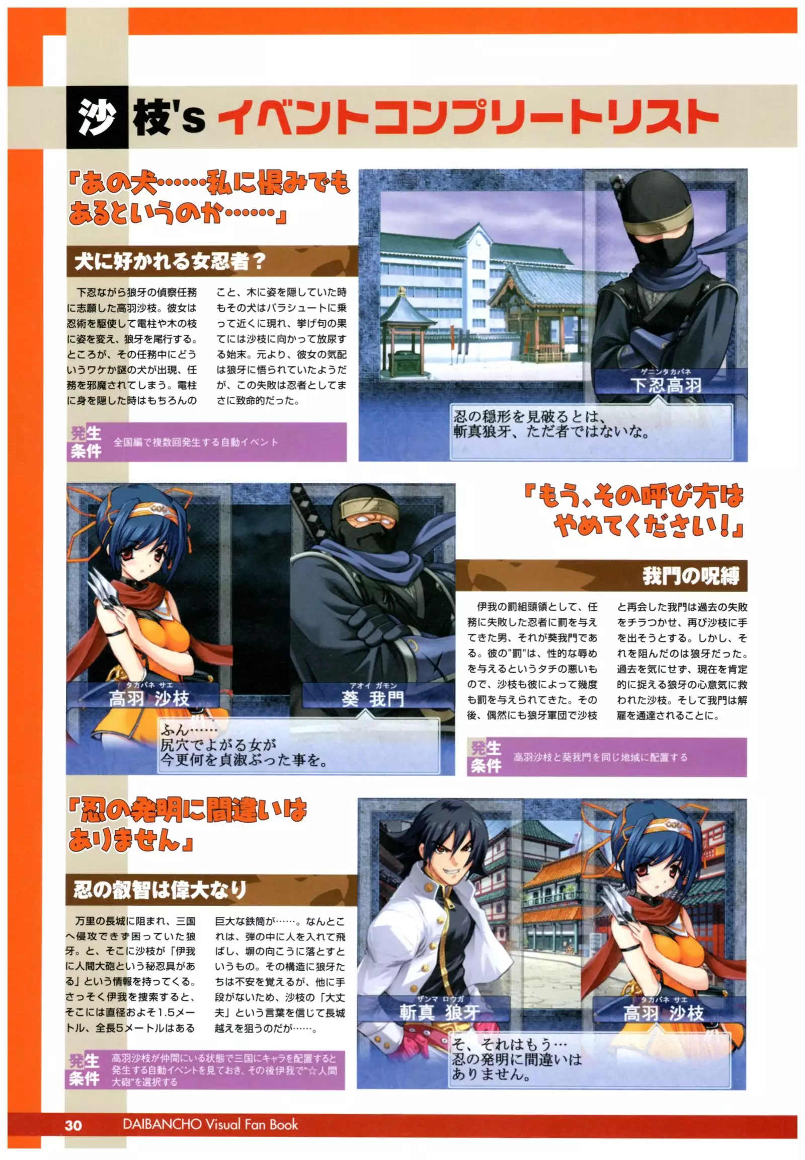 大番長 visual fan book