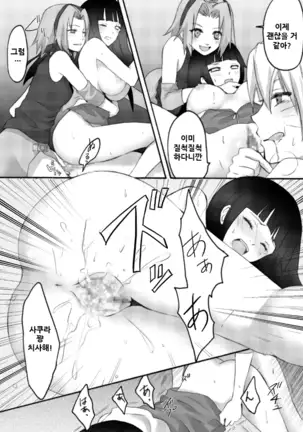 Otsugi wa ONOROKE Ninpoujou