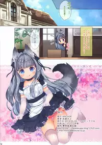 (COMITIA116) [ANCHOR (Mutou Mato)] My Little Maid [Chinese] [無邪気漢化組]