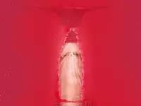 (同人誌)[サークルENZIN] 喜美嶋家での出来事4(完結)セックス結婚式編