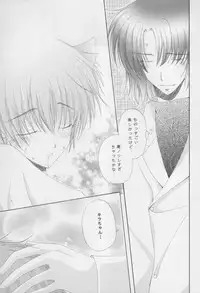 (C68) [Mutsuharu (Kagami Haruki)] Nekomimi Zouryouchuu (Gundam SEED DESTINY) [Incomplete]