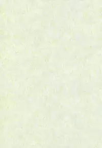 (C78) [Albatross (Nikusyo, Mei)] Idol Mystia Ikimasu!! (Touhou Project)