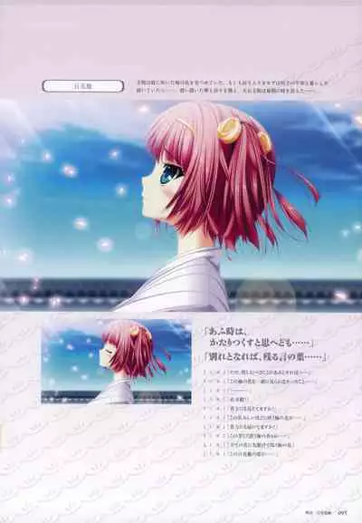 ChuSinGura 46+1 Official Visual Fan Book