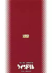 (C72) [USO Seisakujo (Solomon K)] Twin Drill (Lucky Star)