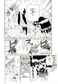 [Kenzaki Mikuri] Shinku no Ihoujin