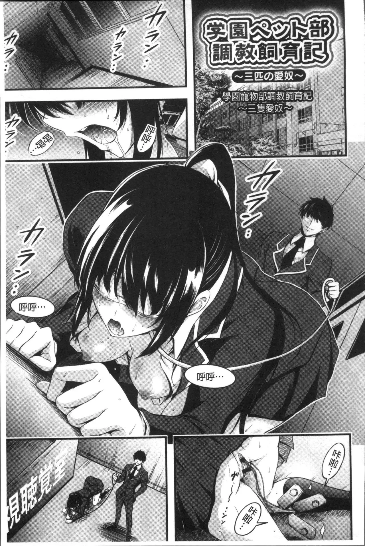 日常ビッチ性体観察