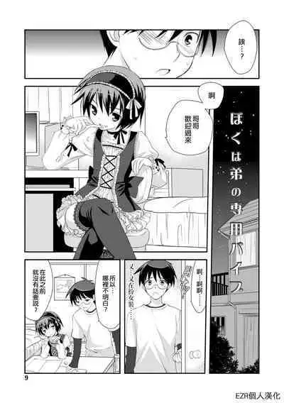 Boku wa Otouto Senyou Vib | 我是弟弟的專用按摩棒