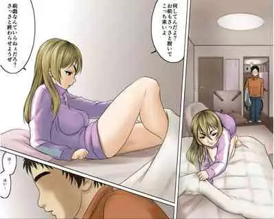 Ichizuna Anego wa Miboujin setto pan