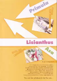 Shuffle! - Visual Fan Book