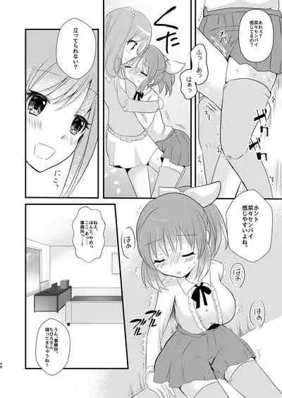 Sweet Rabbit Soushuuhen