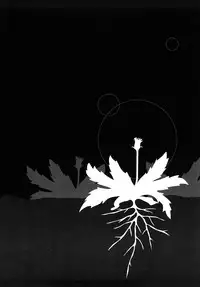 [Machida Hiraku] Tanpopo no Matsuri