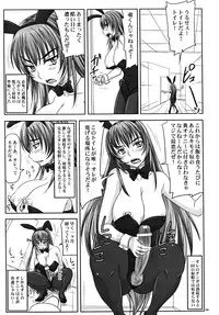 (A3) [Nozarashi (Nozarashi Satoru)] Misshitsu de Kyoubou Bunny Hime to Futarikiri.