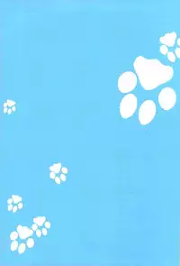 (C81) [Crazy9 (Ichitaka)] Ofuro de! Wanko Tomushizu no Hon (Durarara!!)