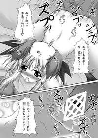 (C80) [chronicle (YUKITO)] FATE COLLECTION II (Mahou Shoujo Lyrical Nanoha)