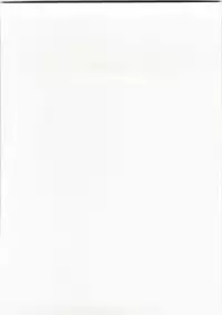 (C74) [Kakogawa-ya (Kakogawa Tarou)] Party Bullets (Mahou Shoujo Lyrical Nanoha)