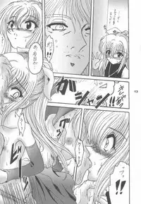 (CR33) [L-Gauge Sha (Shouryuu)] EVE (Black Cat)