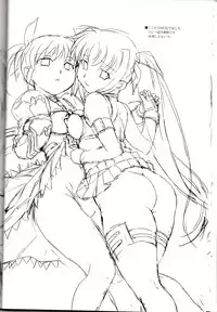 [Soreya (Nishitsuki Tsutomu)] SWORD DANCERS UNIFINISHED (Mahou Shoujo Lyrical Nanoha)