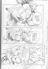 (C66) [Gadoujuku (Kawacchi Hirohiro)] Neko Neko Punch (Final Fantasy XI)