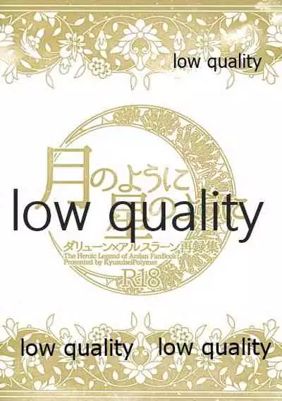 Tsuki no You ni Hoshi no You ni Daryun x Arslan Sairokushuu