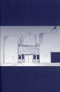 [Devil May Cry] Fragment (VergilxDante)