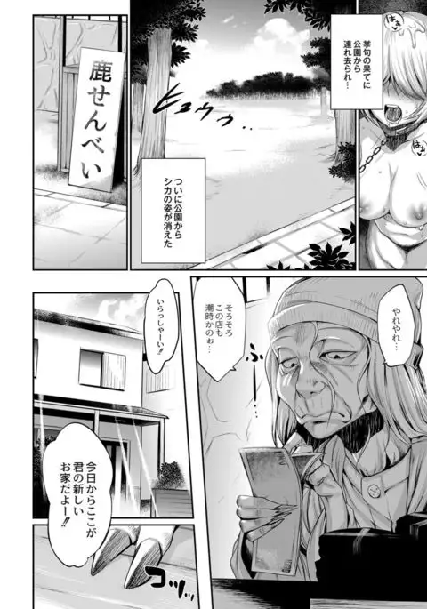 Monthly QooPA 2014-12