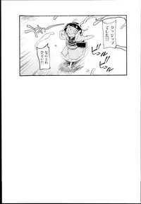 (C89) [Satellites (Satetsu)] LORIM (Touhou Project)