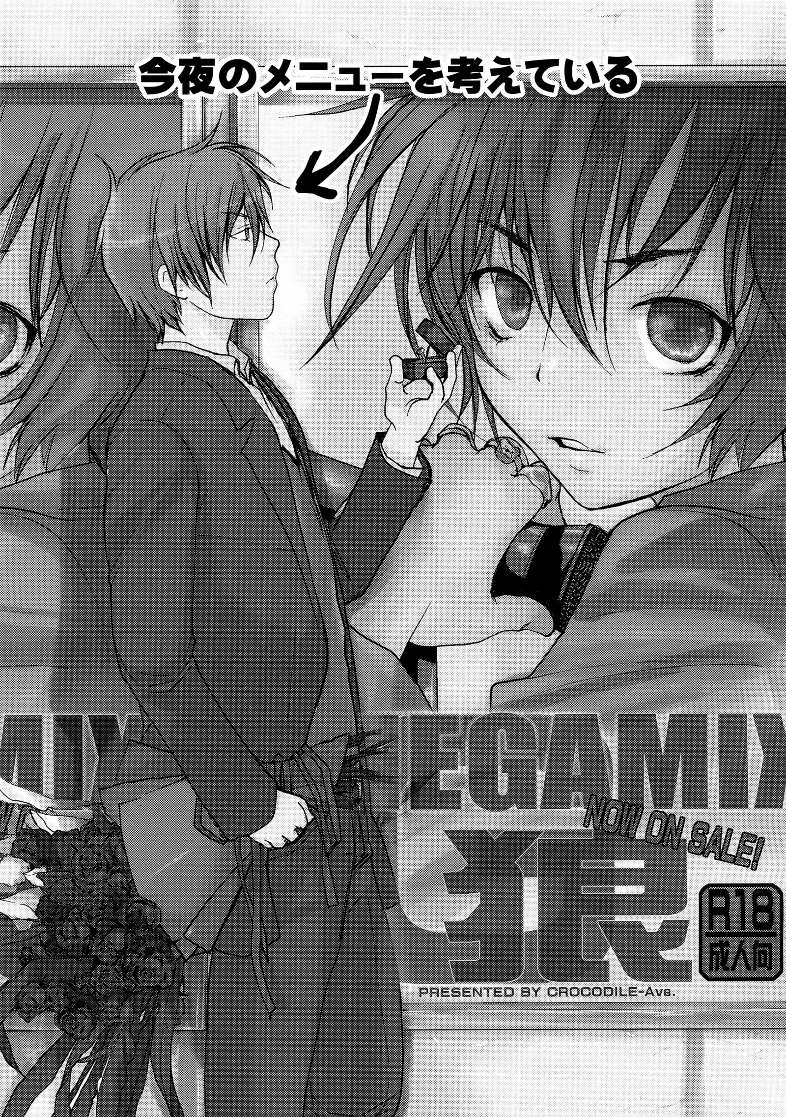 Megagirl 2 Jakoru Ookami