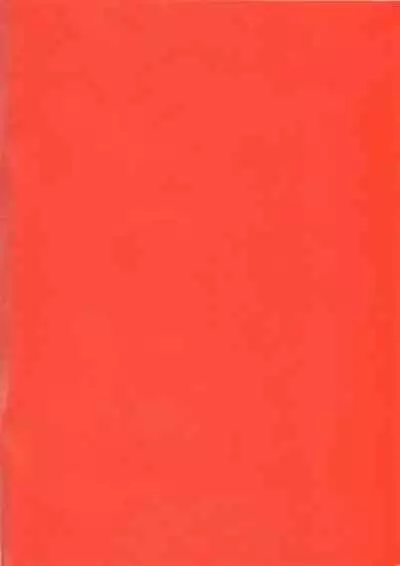 Nitta-san no Chou High Leg Bunny Seikatsu