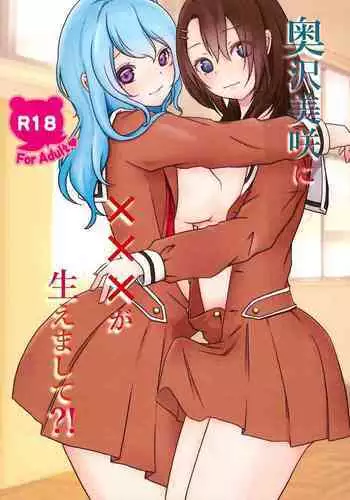 Okusawa Misaki ni xxx ga Haemashite?!