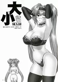 (C74) [Hellabunna (Iruma Kamiri)] Daishou | Large and Small (Macross Frontier)