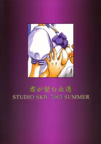 (C64) [Studio SKB (Ayasaka Mitsune)] Namida Tsuki San (Kimi ga Nozomu Eien)
