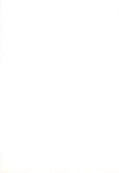 (C61) [BBB (Chuushin Kuranosuke)] ClampCaptors (Various)