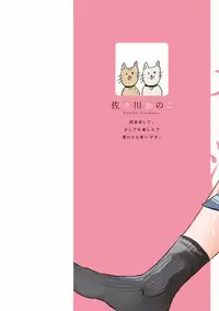 [Sasakawa Kanoko] Hajimete wa Mechakucha Hageshii