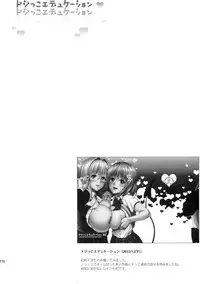 (C86) [Maniac Street (Oono, Sugaishi)] Harem Collection (To LOVE-Ru) [Chinese]