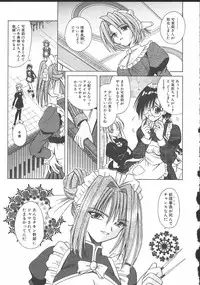 [Matra Milan] Palladium Garden