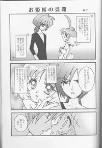 (HaruCC11) [Hoshitama (Shirahata Haruna)] Call (Princess Tutu)