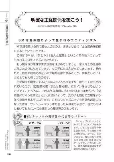 Zero kara Hajimeru SM Manual Kawaii Dorei Shiikujutsu