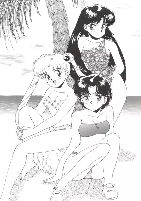 SAILOR MOON MATE 02 Ami